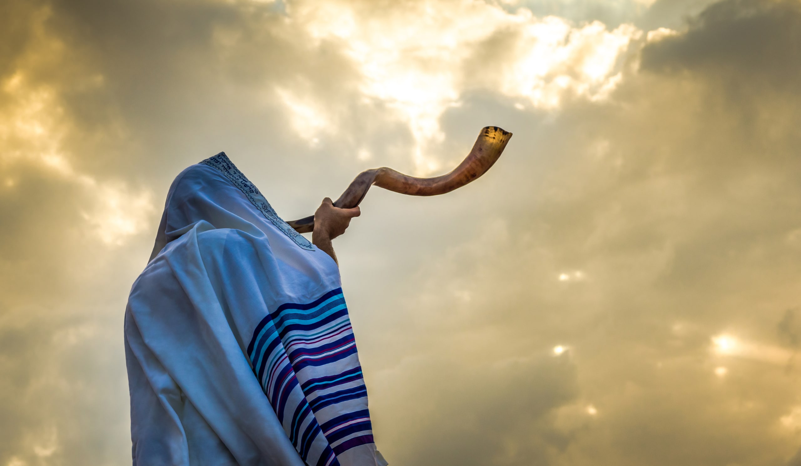 Essays – The King in the Field