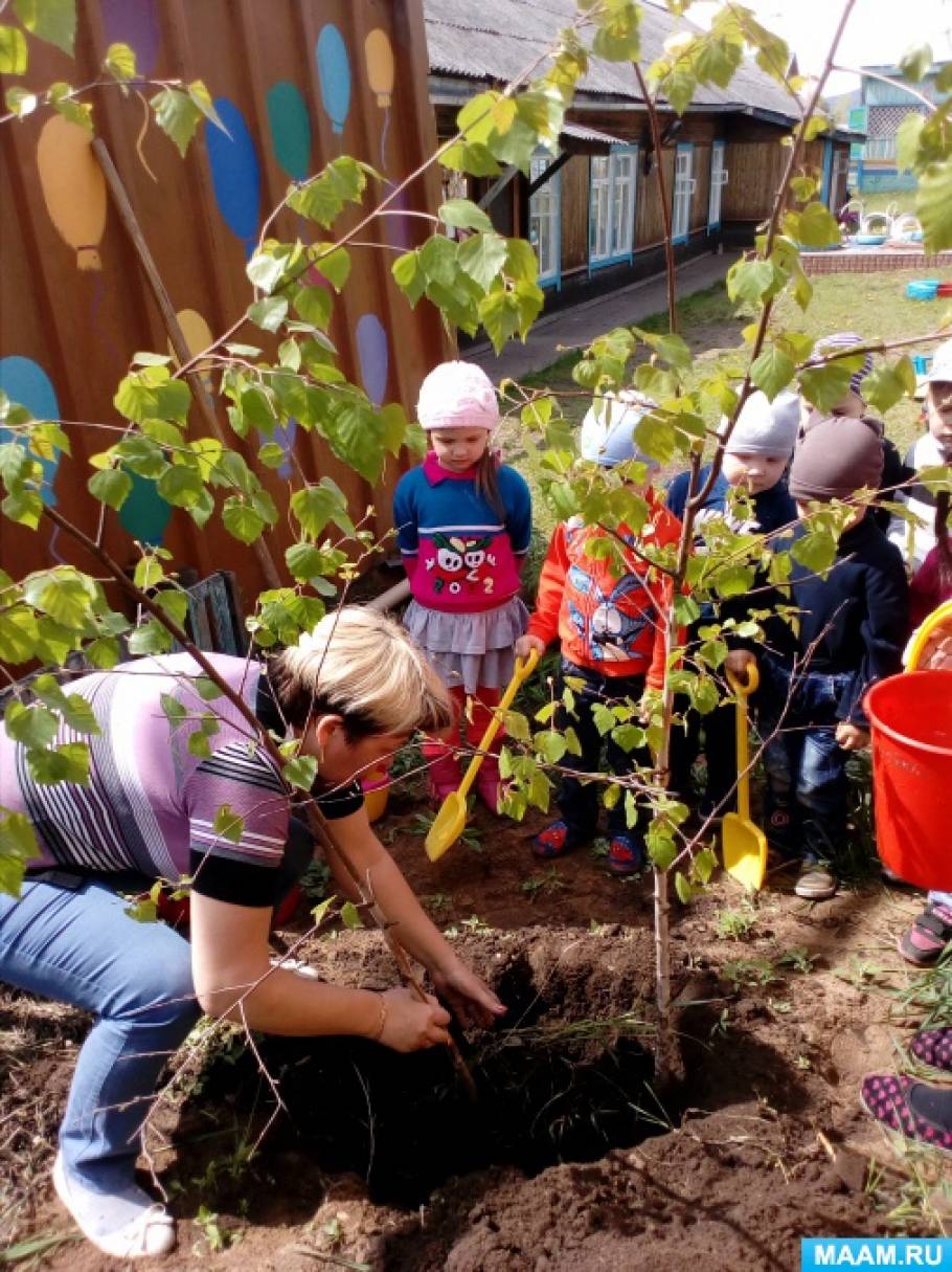 Tu B’Shevat: What and How
